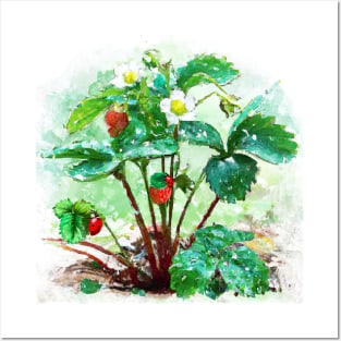 Strawberry Bush After The Rain Posters and Art